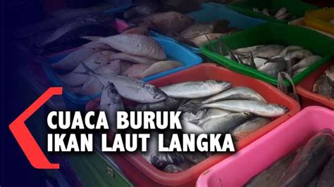 Akibat Cuaca Buruk Ikan Laut Langka Dan Mahal