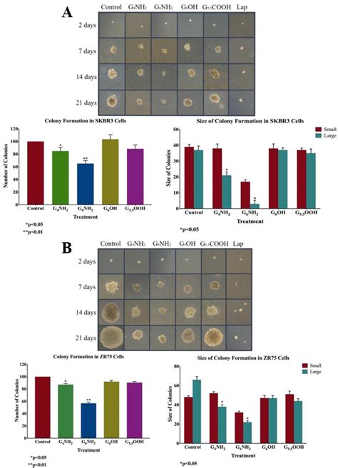 Substantial Cell Apoptosis Provoked By Naked PAMAM Dendrimers In HER2