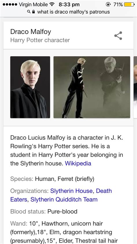 Actual Trash — Ever googled Draco Malfoy Ferret (brIEFLY) I'm...