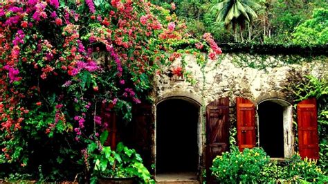 Tropical Cottage HD desktop wallpaper : Widescreen : High Definition ...