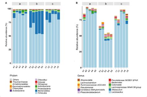 Gut Microbial Community Structures Of Rats From Various Groups