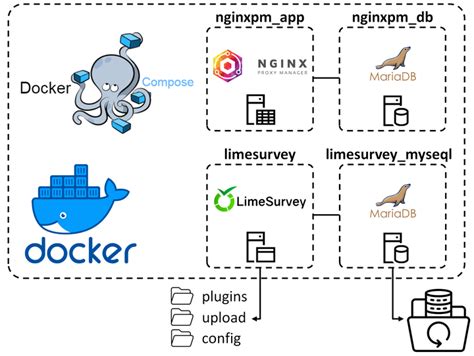 Homelab Docker Install Limesurvey And Plugins Reverse Proxy With