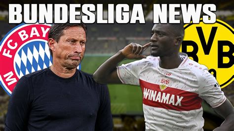 Guirassy BVB Transferziel Roger Schmidt Jetzt Bayern Top Kandidat