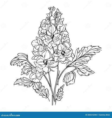 Simple Larkspur Flower Drawing Outline Larkspur Flower Drawing