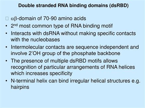 Ppt Rna Binding Motifs Structure Function Biological Significance