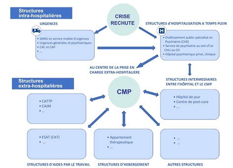 Le Système Public De Psychiatrie Collectif Schizophrénies