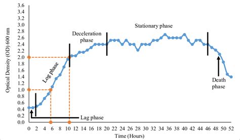 Growth Curve Of Fission Yeast Download Scientific Diagram