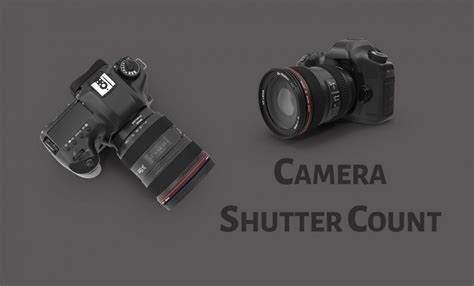 Heartwarming Tips About How To Check Camera Shutter Count Waterask