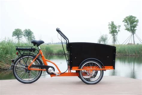 250w 36v 3 Wheel Electric Bicycle Cargo Bike With Dis Brake 6 Speeds