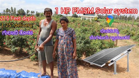 1HP PMSM Solar System For Agriculture 3 Panels 216 Feet Depth