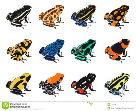 Colors and Patterns of Poison-dart Frogs Stock Vector