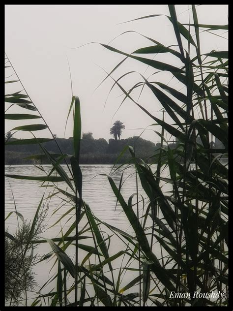 River Nile Eman Roushdy Flickr