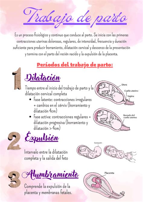 Infografía Sobre El Trabajo De Parto Y Sus Partes Esquemas Y Mapas