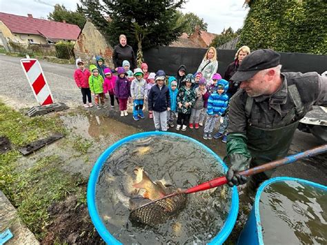 Šance na životní rybářský úlovek rybáři do svazové vody nasadili