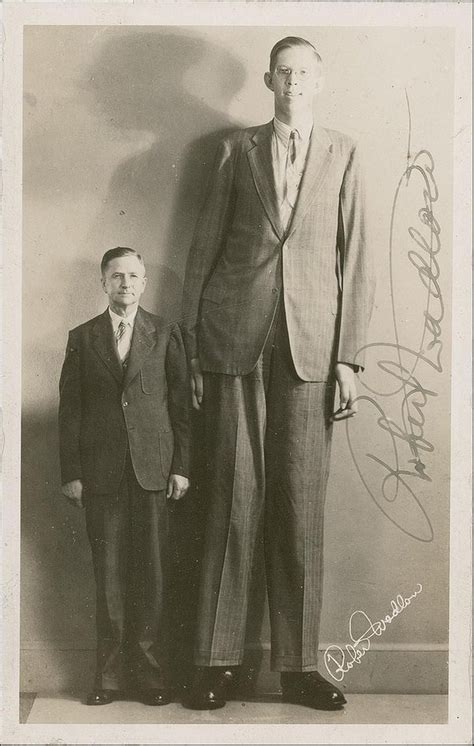 Robert Wadlow Growth Chart