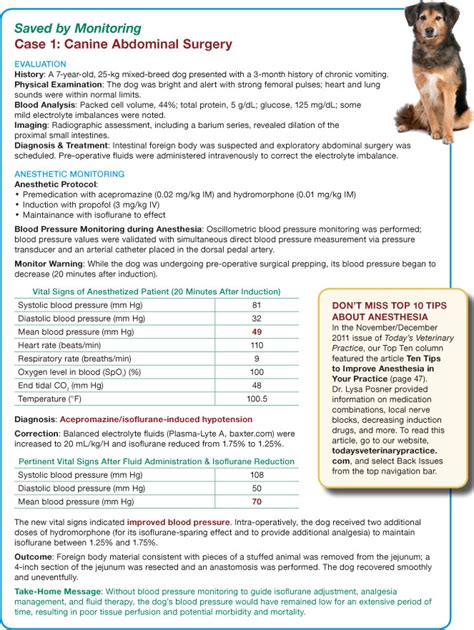 veterinary anesthesia machine checklist - Shanda Gurley