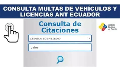 Consulta De Multas Por Placa Y Licencia