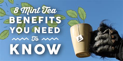 8 Mint Tea Benefits You Need to Know — Wise Ape