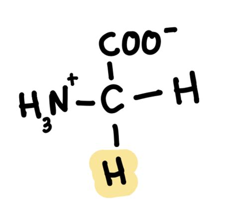 Biochem Amino Acids Flashcards Quizlet