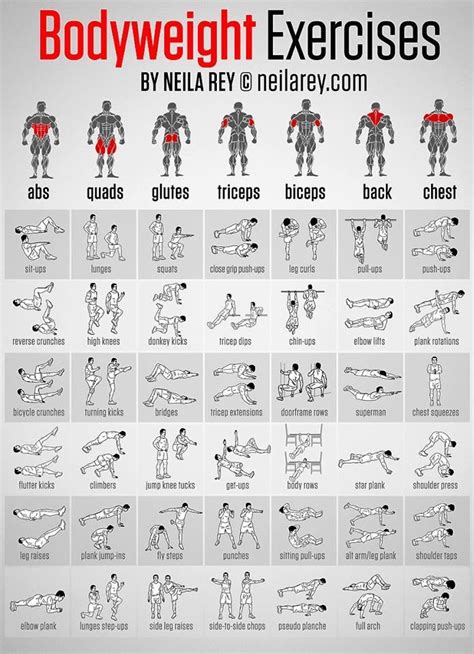 body weight exercises pictures   images  facebook tumblr pinterest  twitter