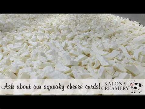 Fresh Iowa Cheese Curds – Kalona Creamery