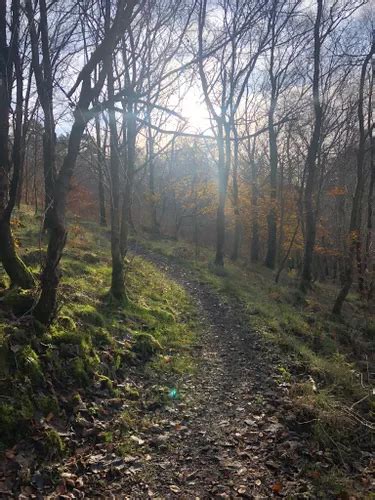 Best Walking Trails In Gleniffer Braes Country Park Alltrails