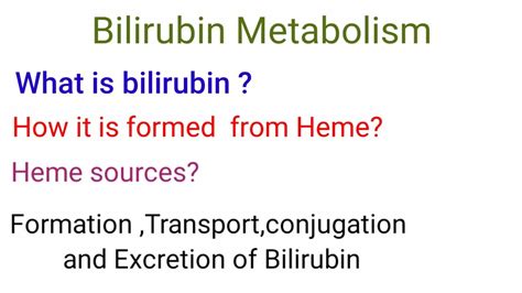 Bilirubin Metabolism What Is Bilirubin Formation Transport