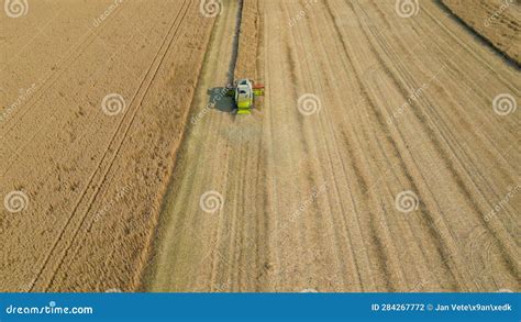 Harvest in the Field, Tractor in the Field, Harvester Harvesting Grain ...