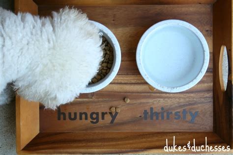 A Personalized Dog Food Tray - Dukes and Duchesses