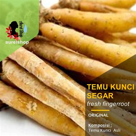 Jual Temu Kunci Segar Kemasan 1 Kg Shopee Indonesia