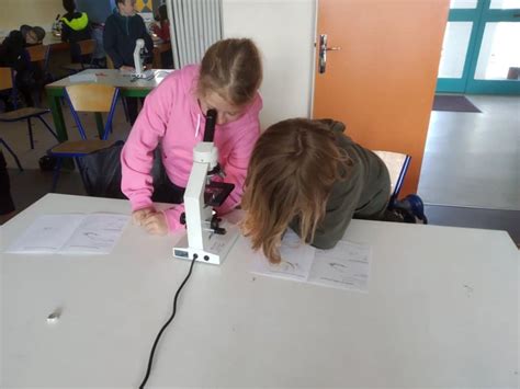 Une Semaine De Classe Nautique Pour Les CM Ecole Saint Joseph