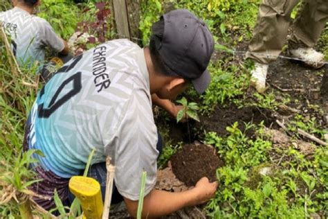 ¿plantar árboles Es La Solución A La Crisis Climática Global Mudo Social Noticias Del Perú