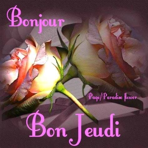 Two Roses With The Words Bonjour On Them In Pink And White Lettering