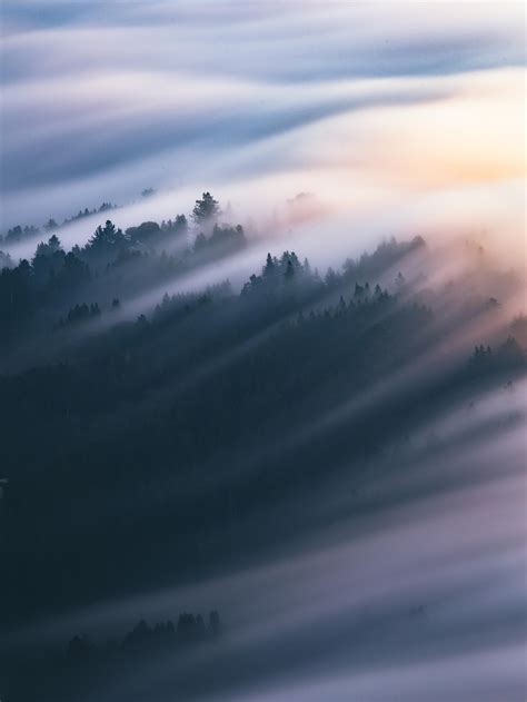 7 tips for gorgeous fog photography – Artofit