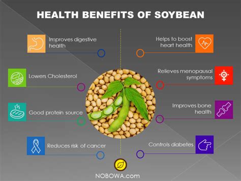 8 Incredible Health Benefits Of Soybean, Uses And Side Effects | NOBOWA.com