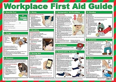 Safety First Aid Group First Aid At Work Guide Poster Laminated 59 X