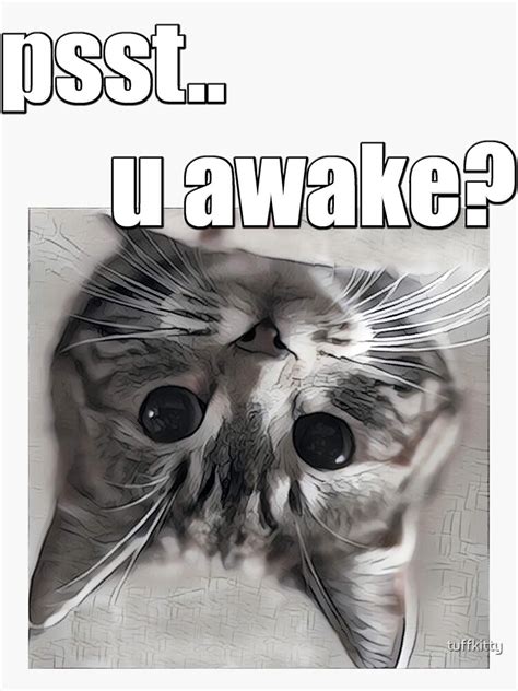 "Psst.. U Awake? Cat Meme" Sticker for Sale by tuffkitty | Redbubble