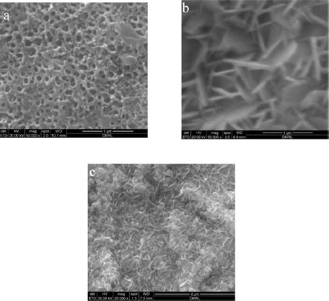 The Surface Morphology Of A TiO 2 Nanotubes Grown On Ti B TiO 2