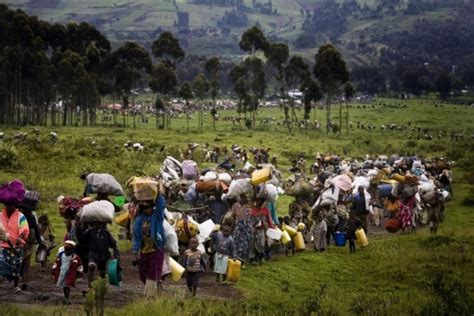 Nord Kivu Des Dizaines De Milliers De Civils Fuient La Violence