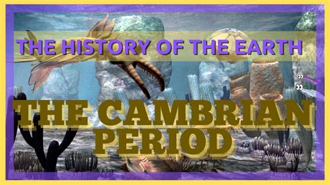 Cambrian Time Period Timeline