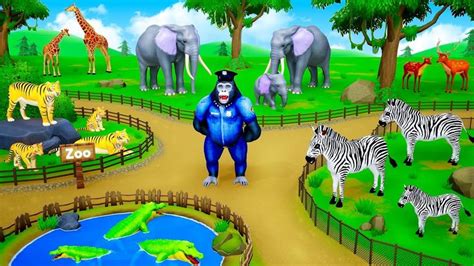 a zoo scene with zebras, giraffes and elephants