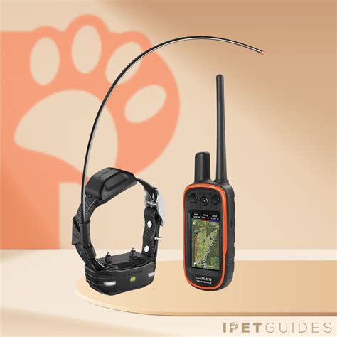 9 Best Garmin Dog Training & Tracking Collars [2024 Updated]