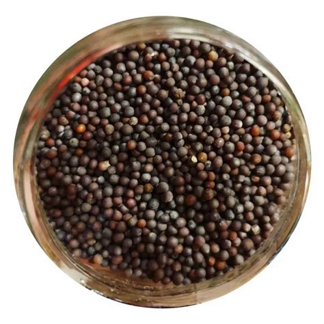 Loose Black Mustard Seed At Rs 65 Kg Ladwa ID 2852650448330