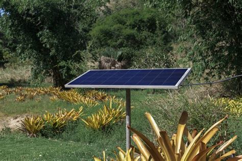 Painel de células solares na selva ecologia verde Foto Premium