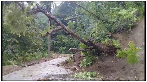 Bpbd Catat Pohon Tumbang Dan Tanah Longsor Terjadi Di Pangkep Saat