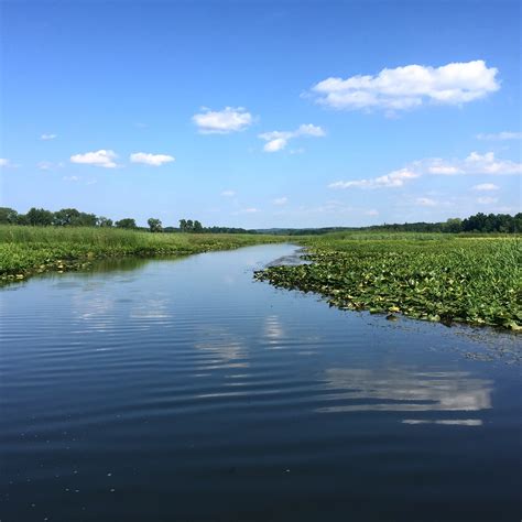 Top 20 Flint, MI condo and apartment rentals from $48/night | Vrbo