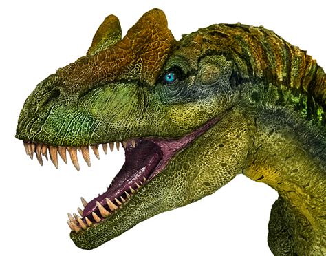 Download Dinosaur Allosaurus Dino Royalty Free Stock Illustration