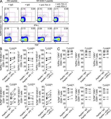 Ex Vivo Blockade Of The Tim Tim L Pathway Enhances Cytokine