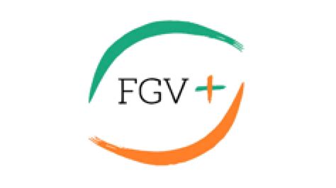 Student Organizations Fgv Emap