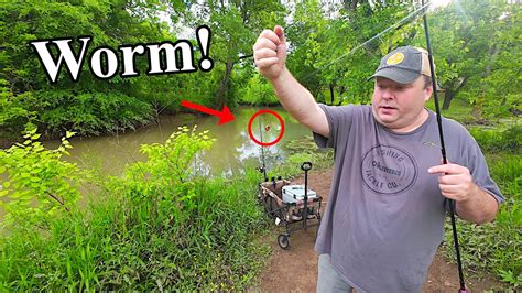 Fishing For Bluegill And Bullhead Catfish In A Tiny Creek Bank